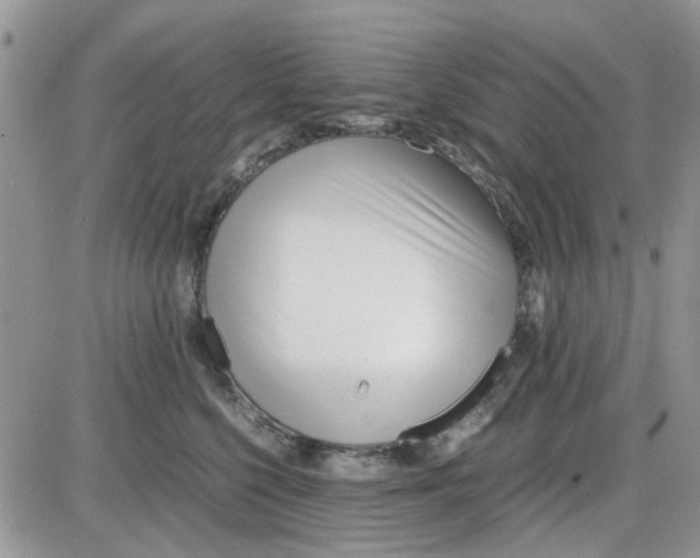 X0000086040568200704202014