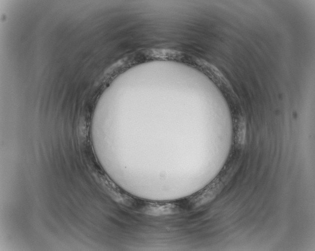 X0000086040569200704202014