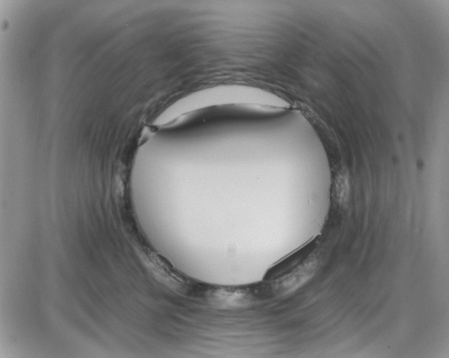 X0000086040570200704202014