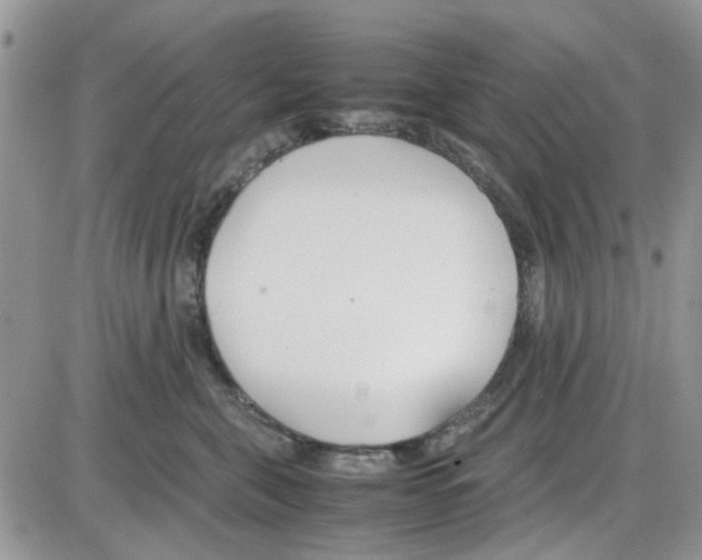 X0000086040571200704202014