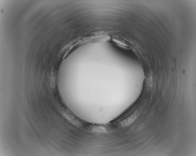 X0000086040572200704202014