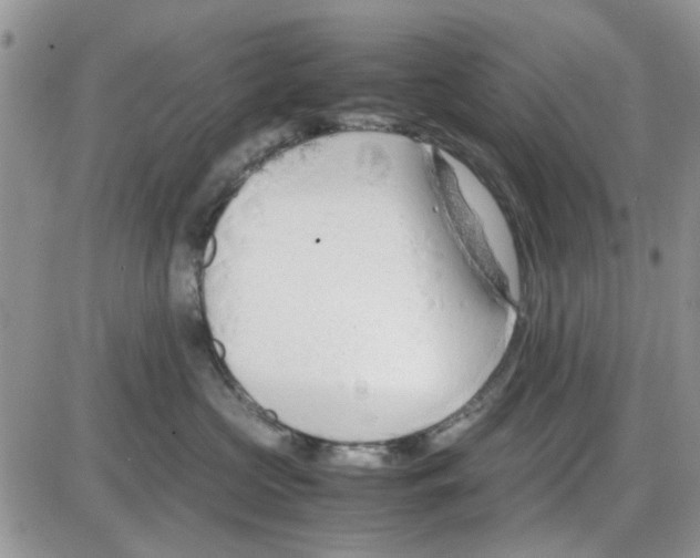 X0000086040573200704202014