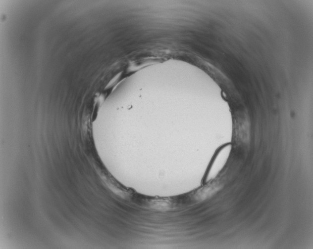 X0000086040574200704202014