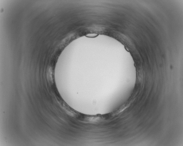 X0000086040575200704202014