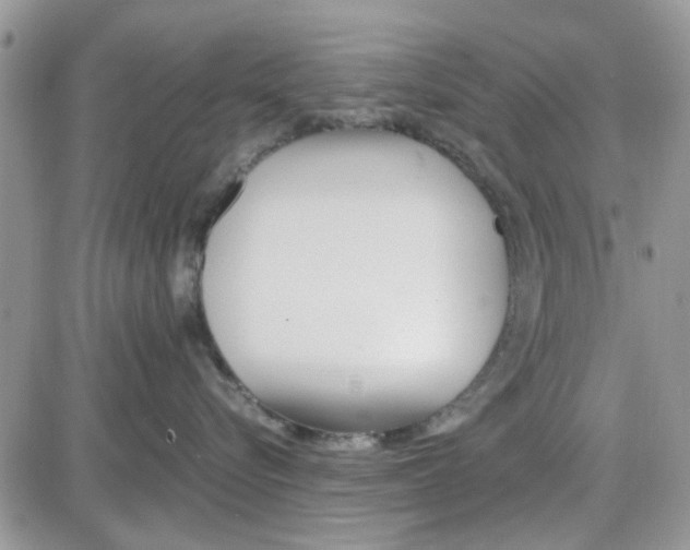 X0000086040576200704202014