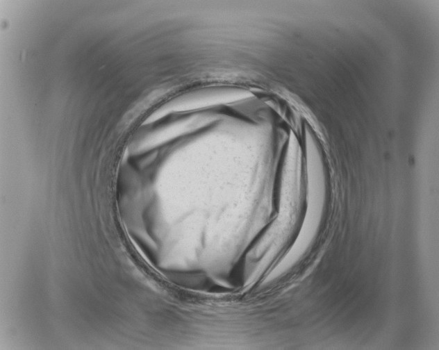 X0000086040577200704202013