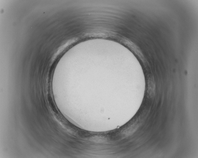 X0000086040578200704202013