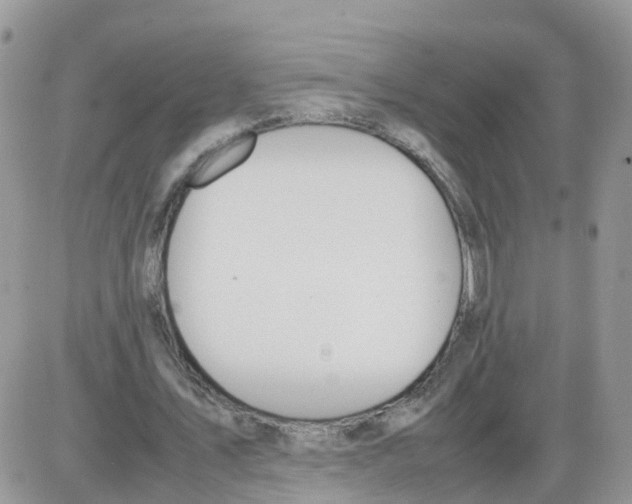 X0000086040579200704202013