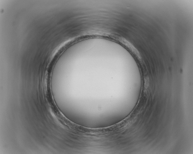 X0000086040580200704202013