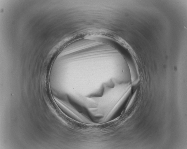 X0000086040581200704202013