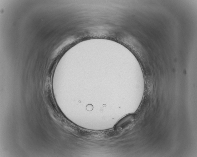 X0000086040583200704202013