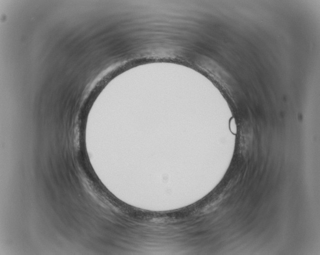 X0000086040584200704202013