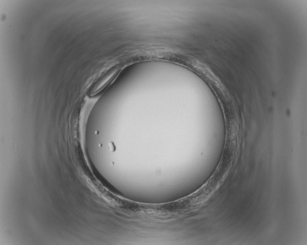 X0000086040585200704202013