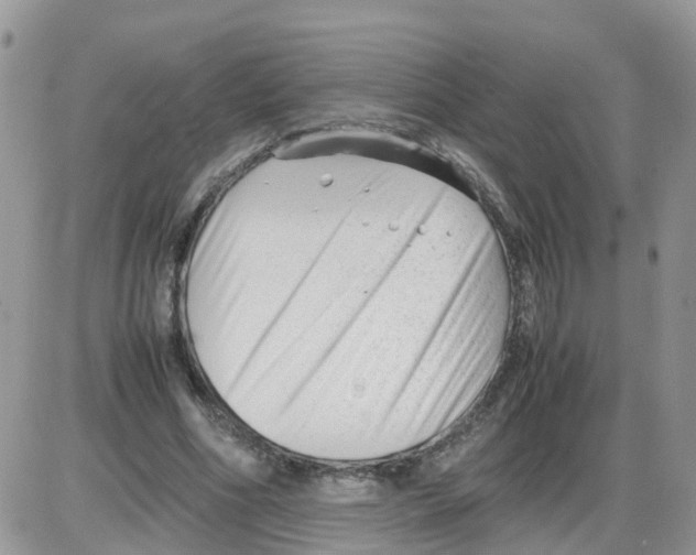 X0000086040586200704202013