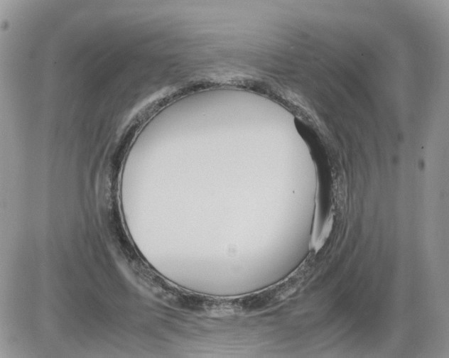 X0000086040587200704202013