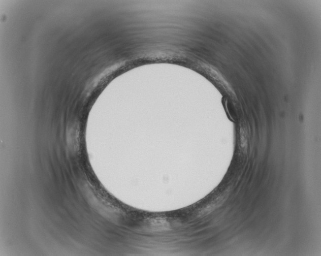 X0000086040588200704202013