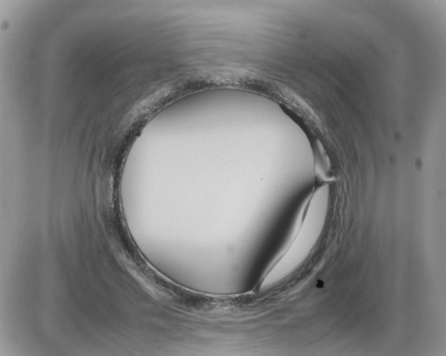 X0000086040589200704202013