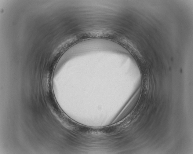 X0000086040590200704202013