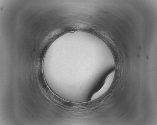 X0000086040591200704202013