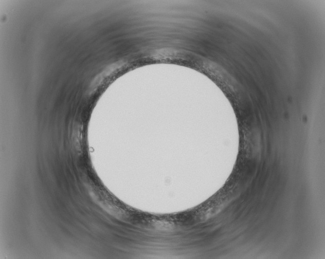 X0000086040592200704202013