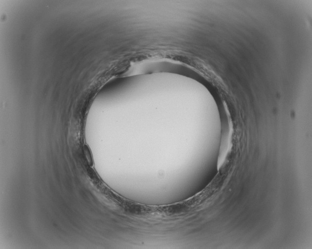 X0000086040593200704202013