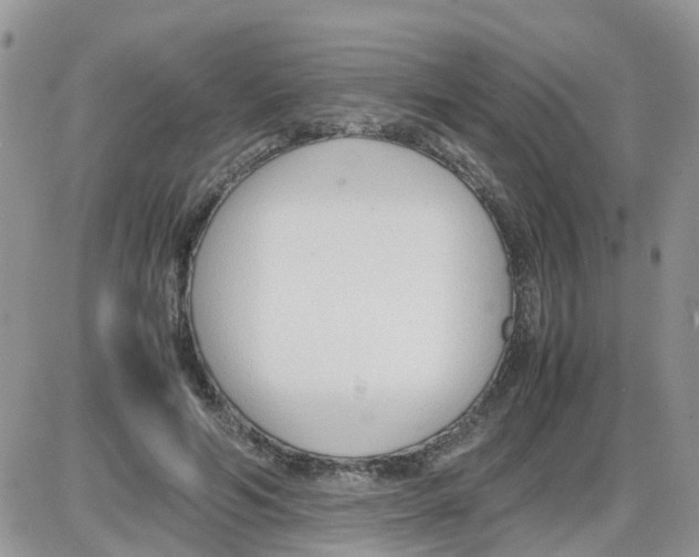 X0000086040594200704202013