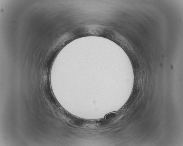 X0000086040595200704202013