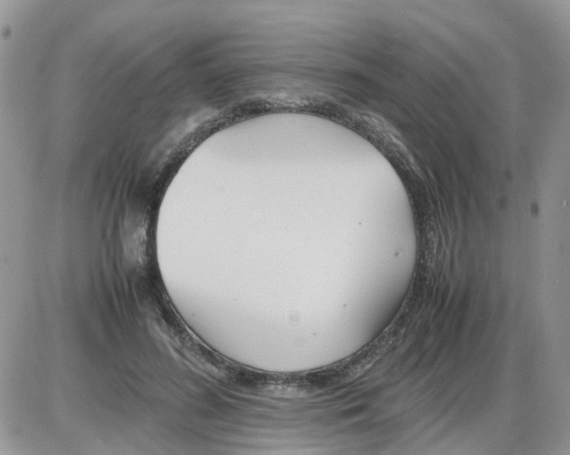 X0000086040596200704202013