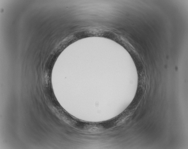 X0000086040597200704202013