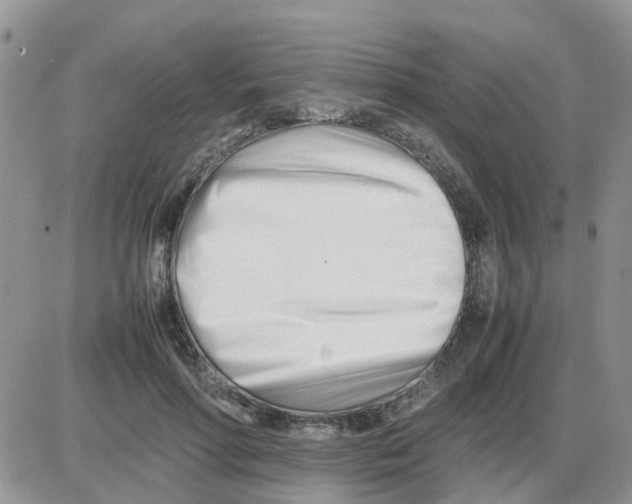 X0000086040598200704202013