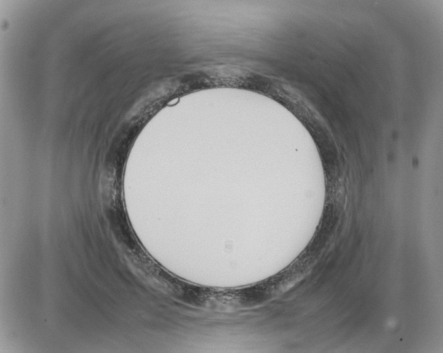 X0000086040599200704202013