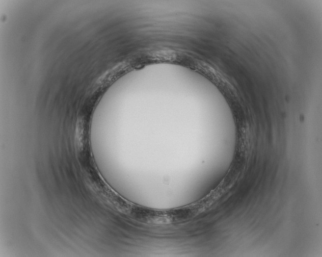 X0000086040600200704202013