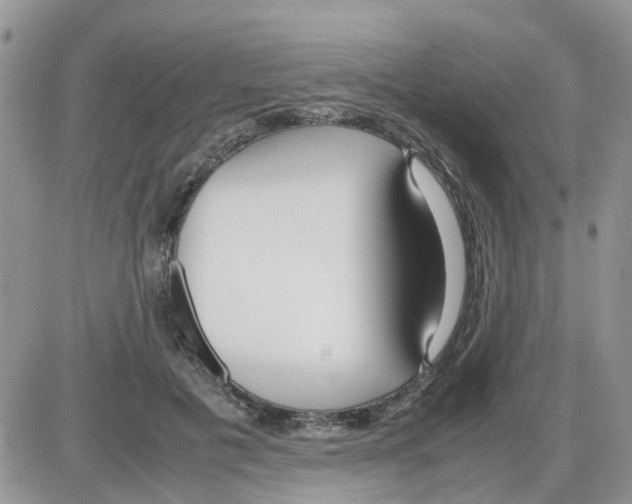 X0000086040601200704202013