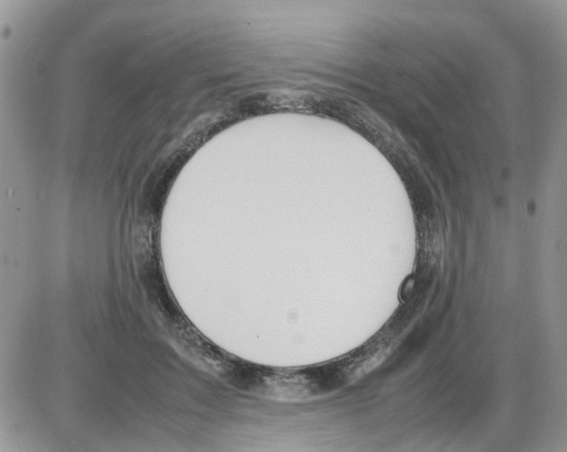 X0000086040603200704202013