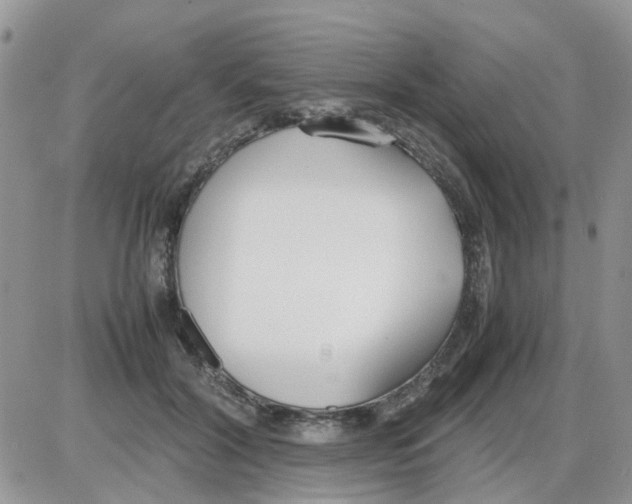 X0000086040604200704202013