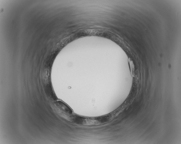 X0000086040605200704202013