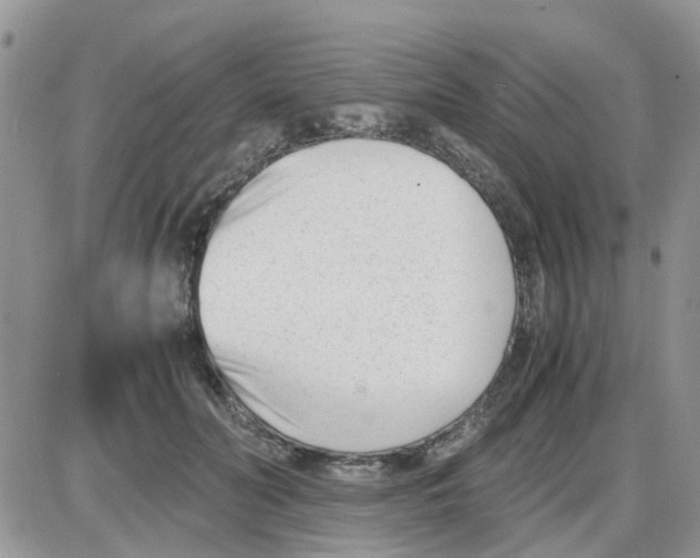 X0000086040606200704202013