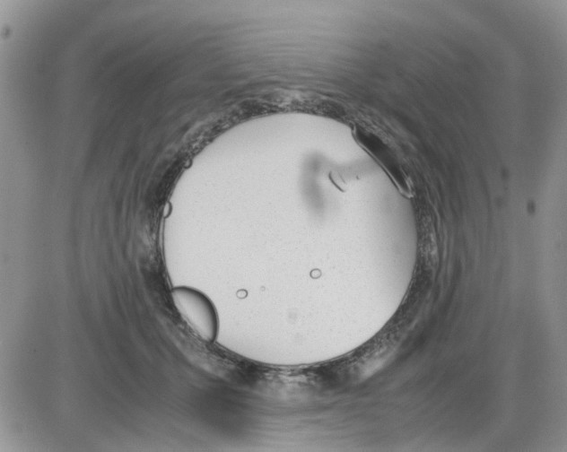 X0000086040607200704202013