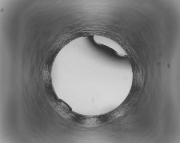 X0000086040609200704202013