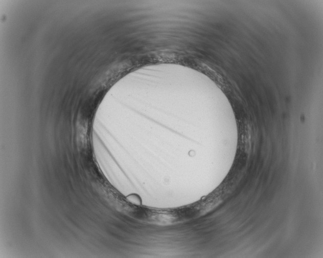 X0000086040610200704202013