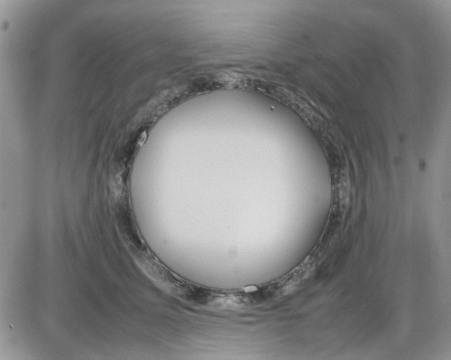 X0000086040611200704202013