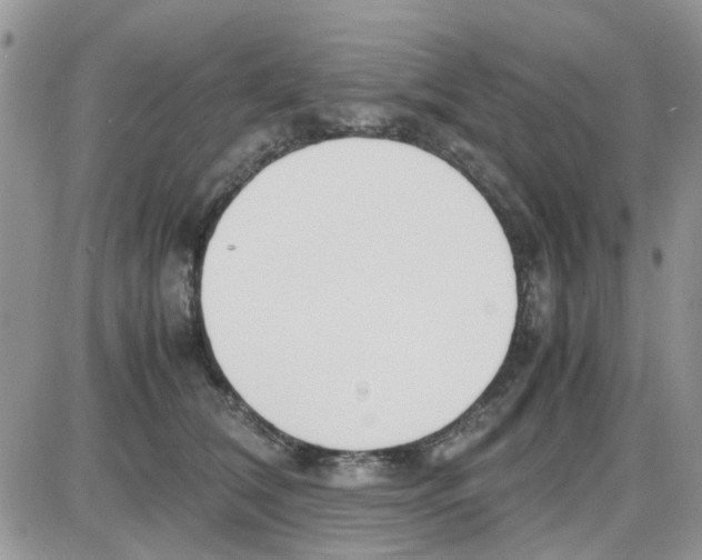 X0000086040612200704202013