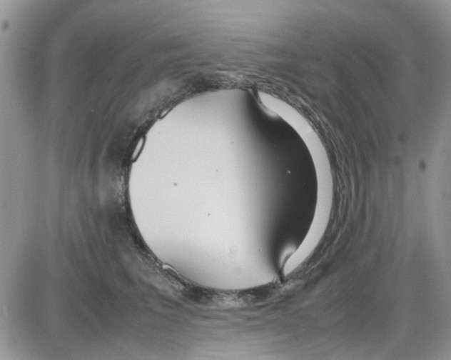 X0000086040613200704202013