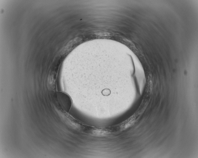 X0000086040614200704202013