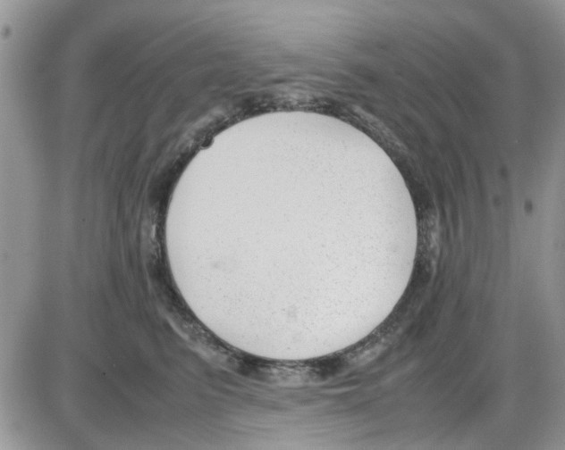 X0000086040615200704202013