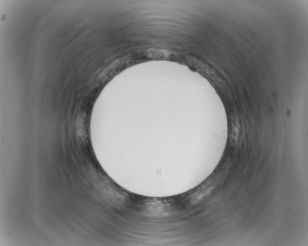 X0000086040616200704202013