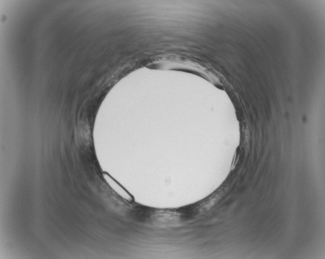 X0000086040617200704202012