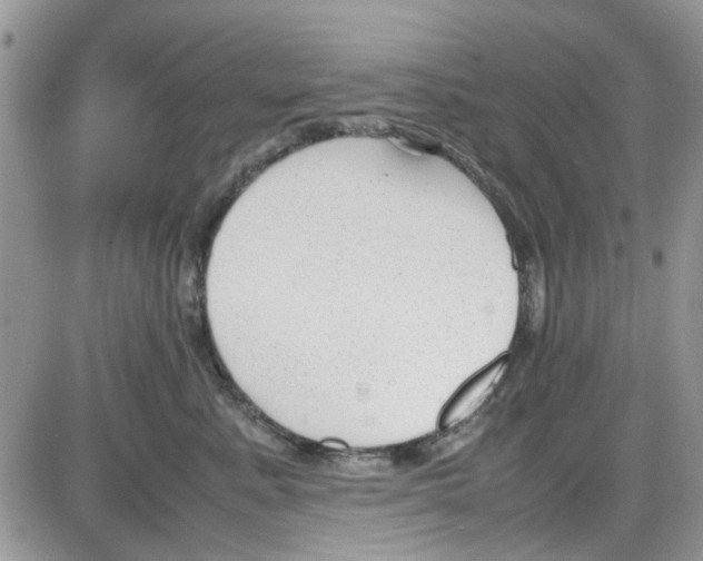 X0000086040619200704202012