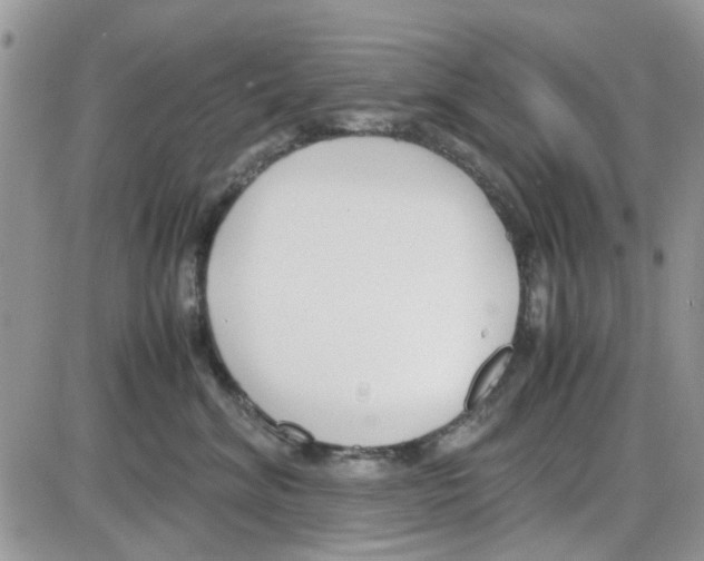 X0000086040620200704202012