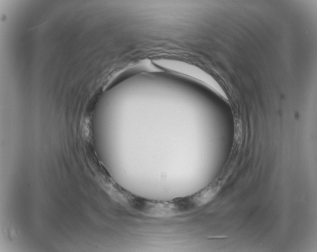 X0000086040621200704202012